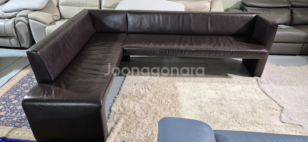 도무스 코이노 브롱스 전체 천연가죽 다이닝 소파쇼파--0