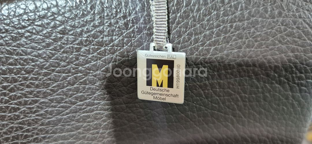 도무스 코이노 브롱스 전체 천연가죽 다이닝 소파쇼파--2