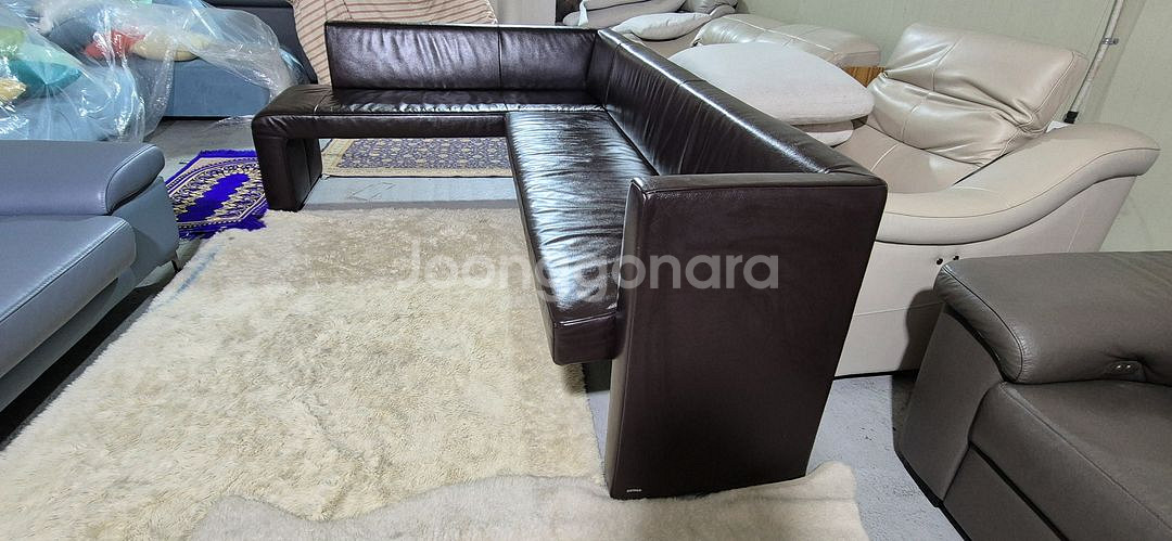 도무스 코이노 브롱스 전체 천연가죽 다이닝 소파쇼파--5