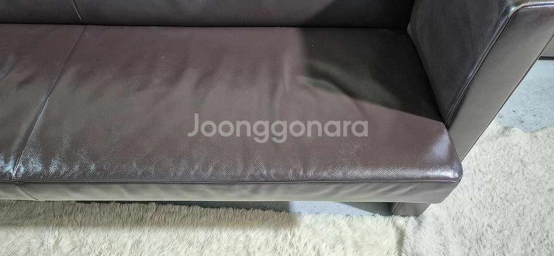 도무스 코이노 브롱스 전체 천연가죽 다이닝 소파쇼파--7