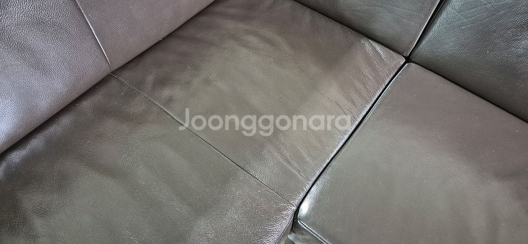 도무스 코이노 브롱스 전체 천연가죽 다이닝 소파쇼파--8