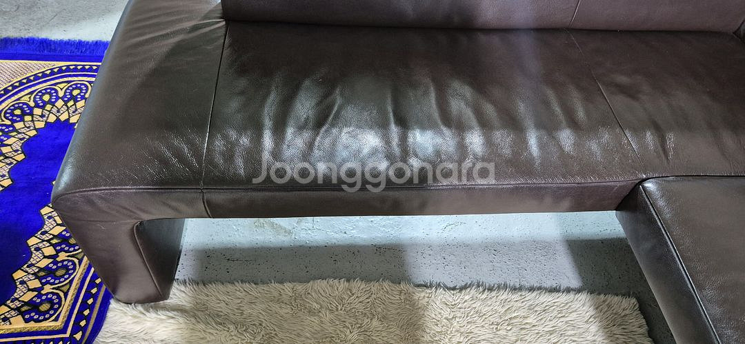 도무스 코이노 브롱스 전체 천연가죽 다이닝 소파쇼파--9