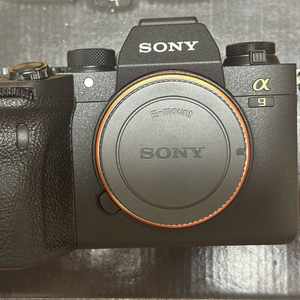 소니 a9m2, 정품세로그립
