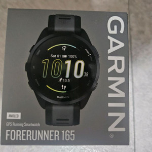 가민 포러너 165
