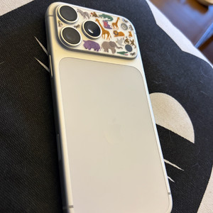 아이폰 17 프로맥스 512 실버 (테크우븐케이스 같이드림)