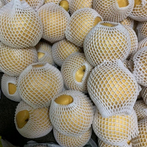 꽃할 배 농장 주문받습니다!!