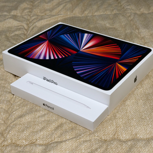 아이패드 프로 12.9 5세대 M1 풀박스 애플펜슬포함