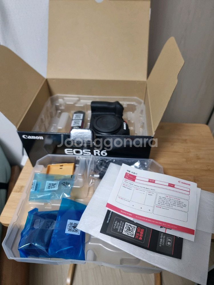 캐논 EOS R6 미러리스 카메라--5