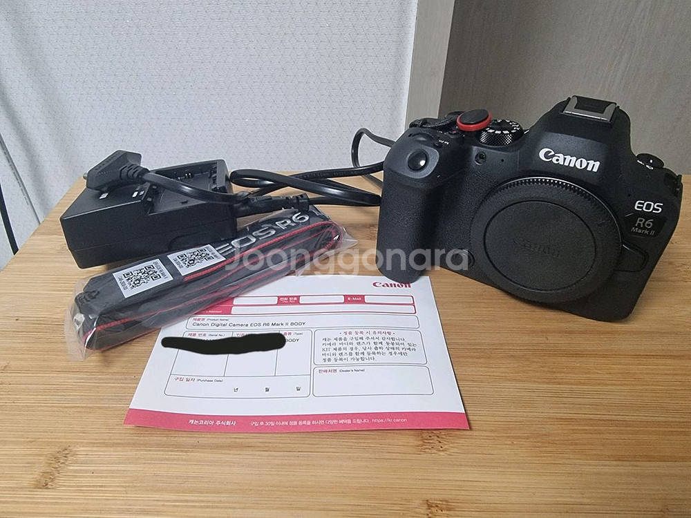 캐논 EOS R6 미러리스 카메라--4