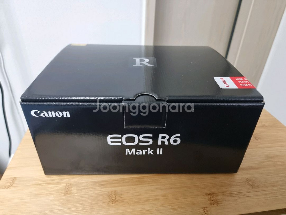 캐논 EOS R6 미러리스 카메라--6