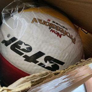 배구공 스타프로페셜널2