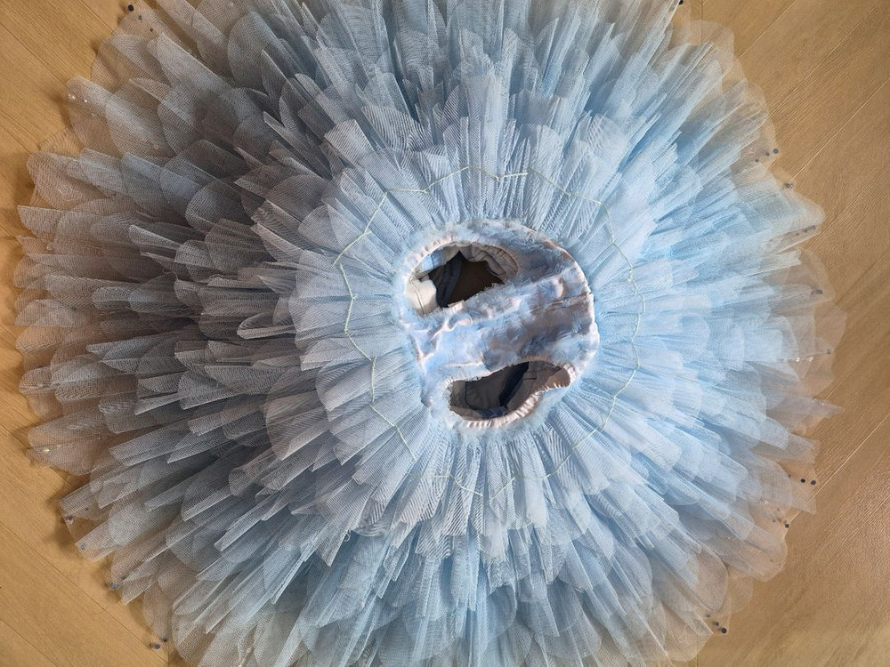 클래식 발레 의상 팝니다.--3