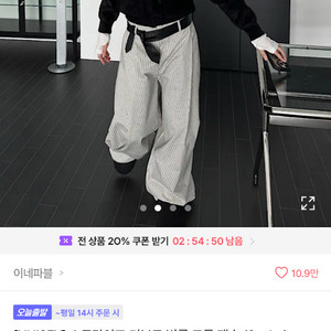 에이블리 이네파블 스트라이프 벌룬 팬츠