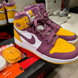 나이키 덩크 하이 농구화