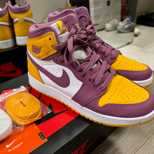 나이키 덩크 하이 농구화