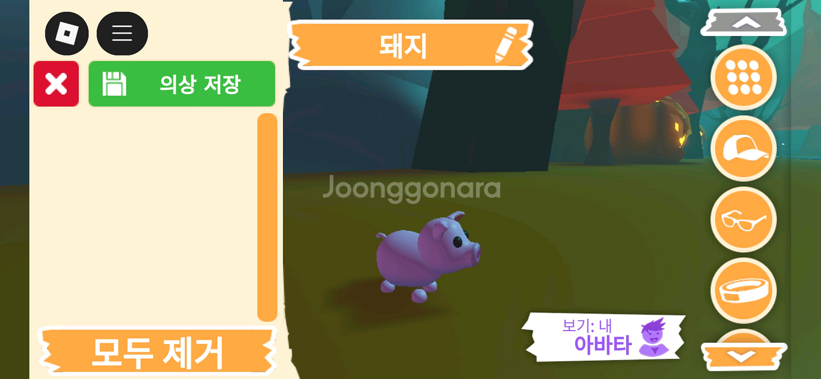 입양하세요 펫 돼지 판매합니다--1