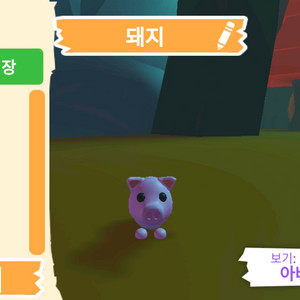 입양하세요 펫 돼지 판매합니다