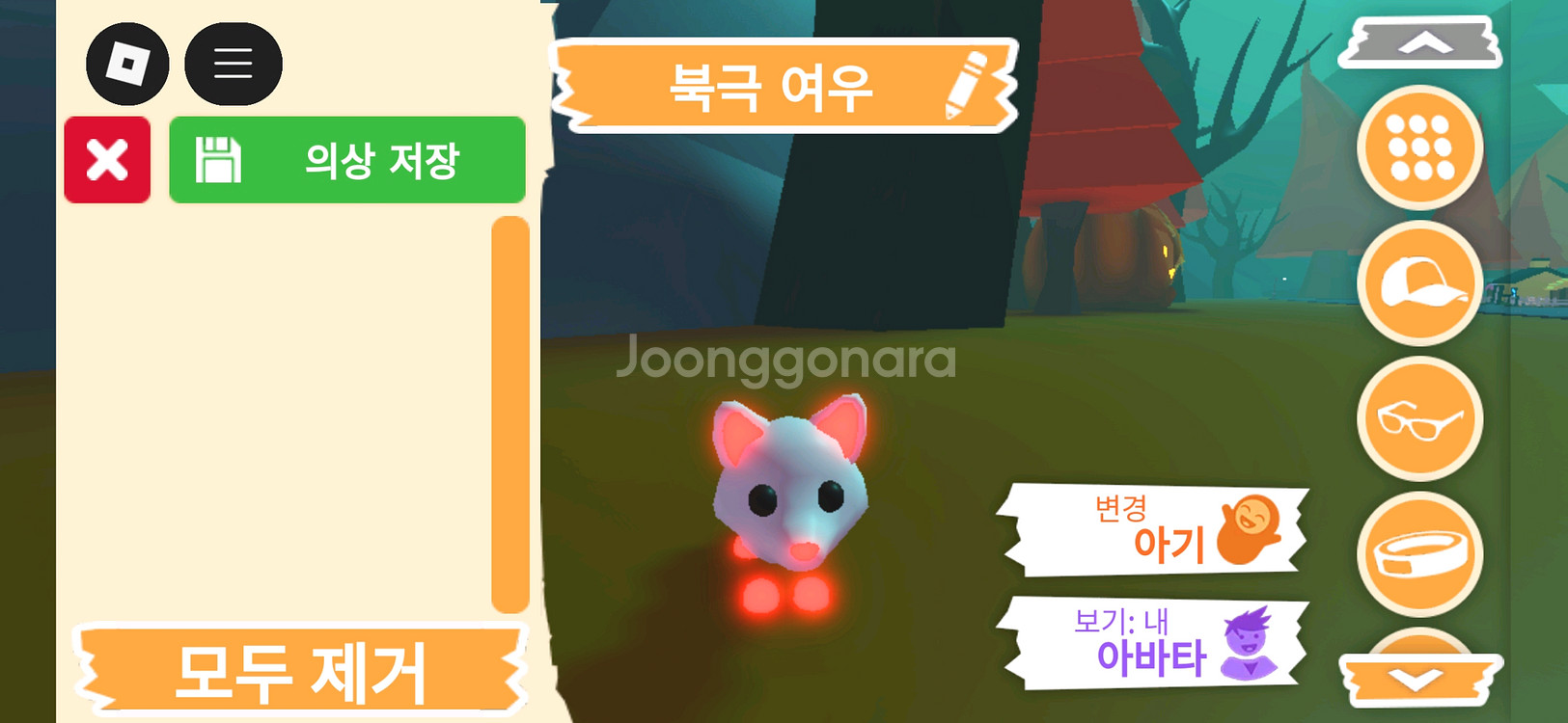 입양하세요 펫 메가네온 북극 여우(메북여)판매합니다--0