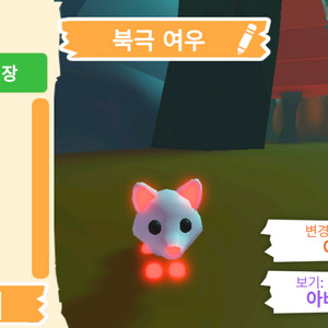 입양하세요 펫 메가네온 북극 여우(메북여)판매합니다