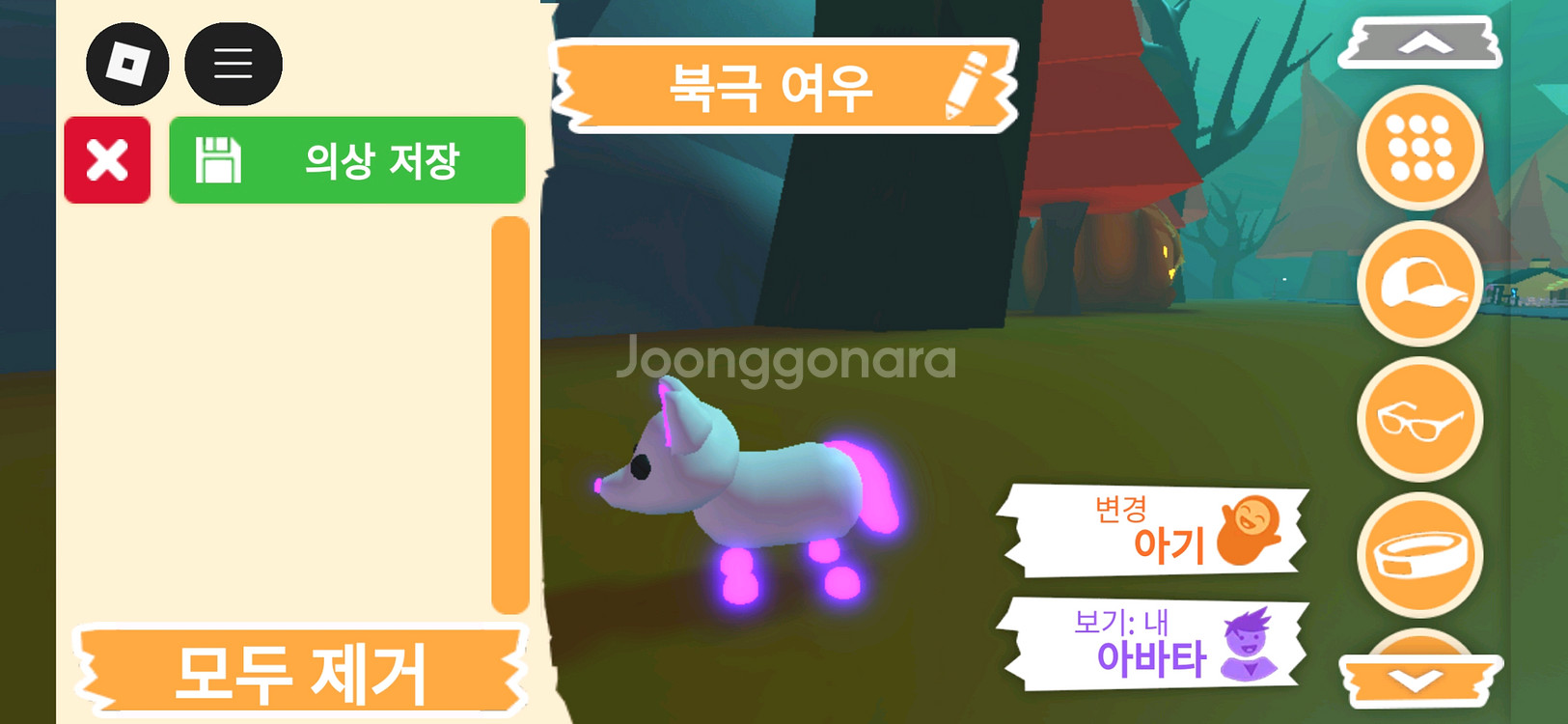 입양하세요 펫 메가네온 북극 여우(메북여)판매합니다--1