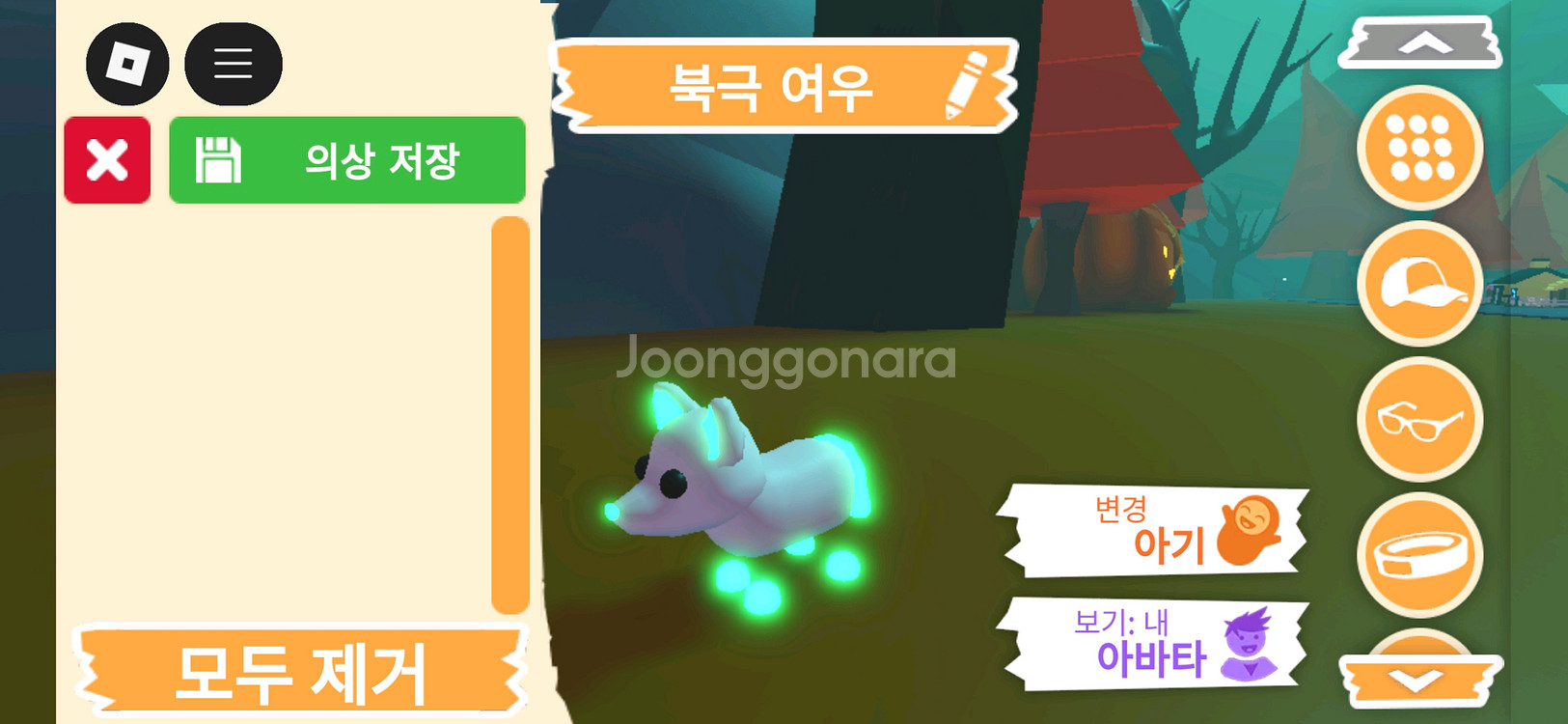 입양하세요 펫 메가네온 북극 여우(메북여)판매합니다--2