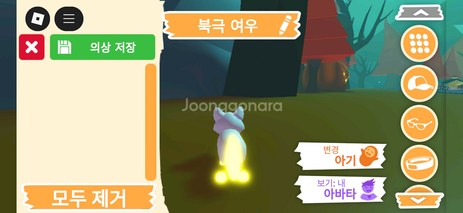 입양하세요 펫 메가네온 북극 여우(메북여)판매합니다--3