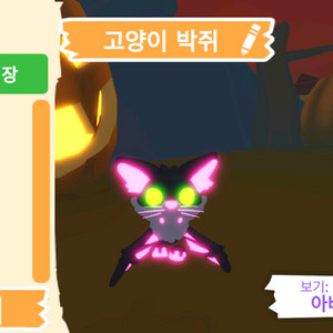 입양하세요 펫 무능 메가네온 고양이 박쥐(메고박)판매