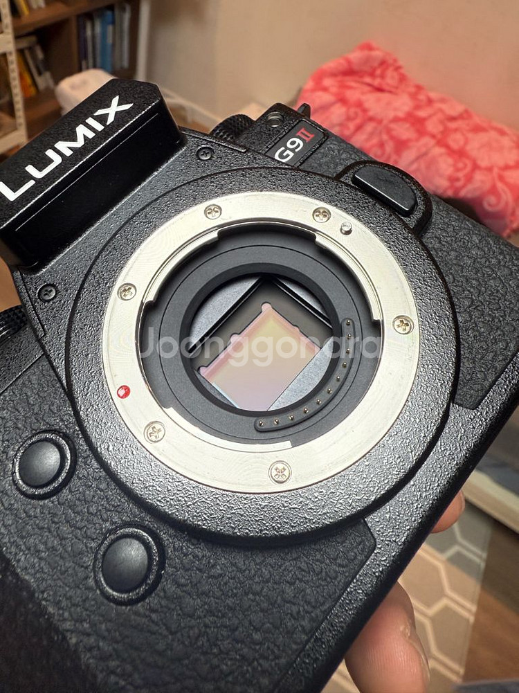 파나소닉 루믹스 G9M2 + 라이카 12-60 렌즈--2
