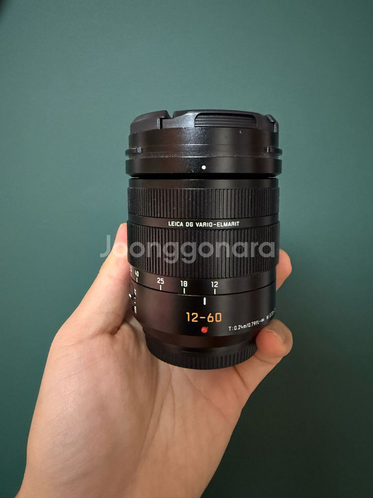 파나소닉 루믹스 G9M2 + 라이카 12-60 렌즈--4