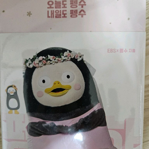 오늘도 펭수 내일도 펭수 책