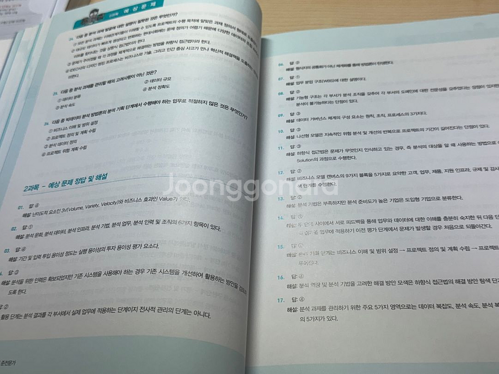 adsp 2025 미어캣--2