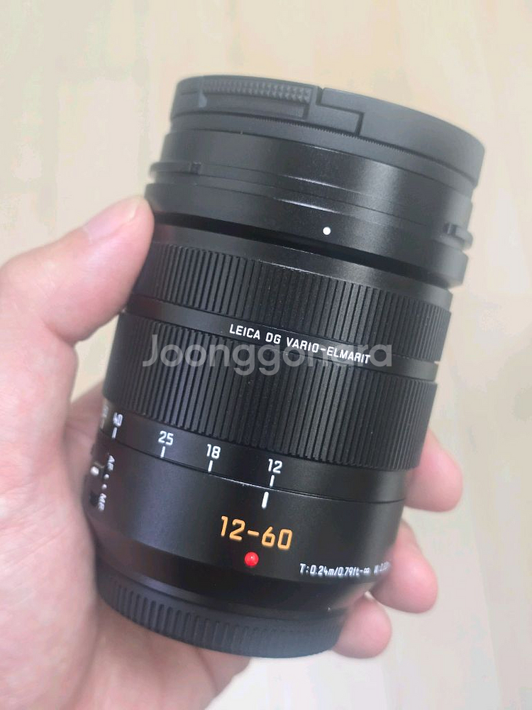 파나소닉 루믹스 12-60mm--0