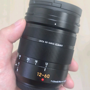 파나소닉 루믹스 12-60mm