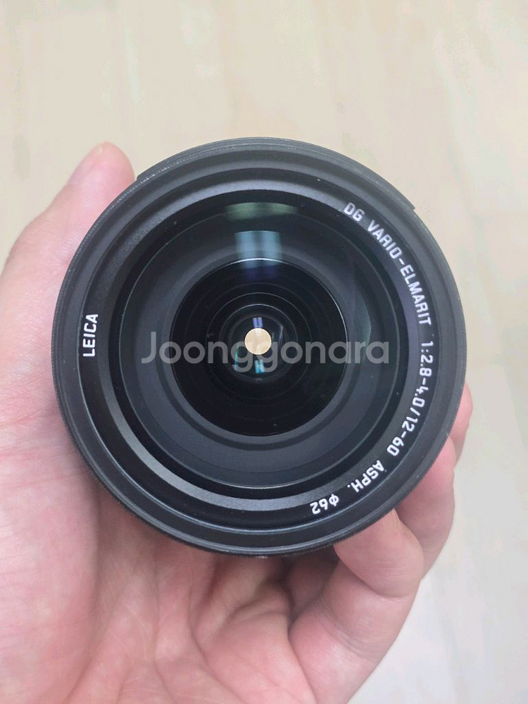 파나소닉 루믹스 12-60mm--3