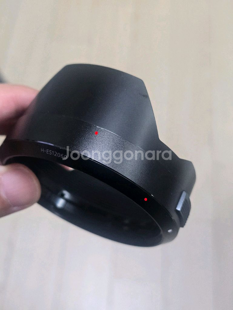 파나소닉 루믹스 12-60mm--5