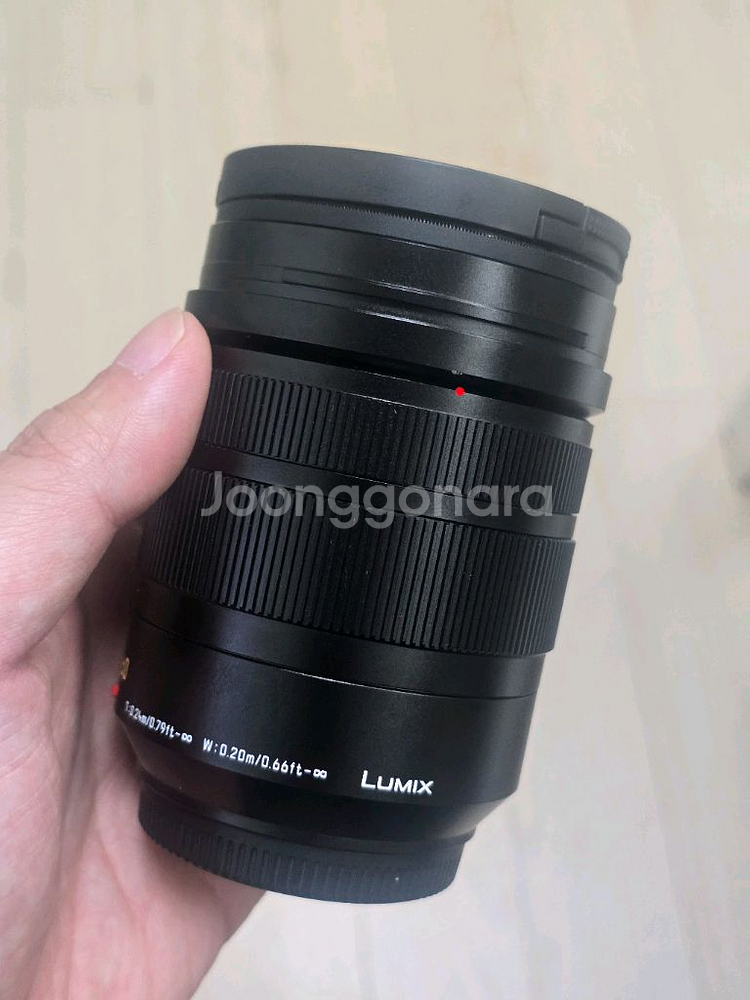 파나소닉 루믹스 12-60mm--2