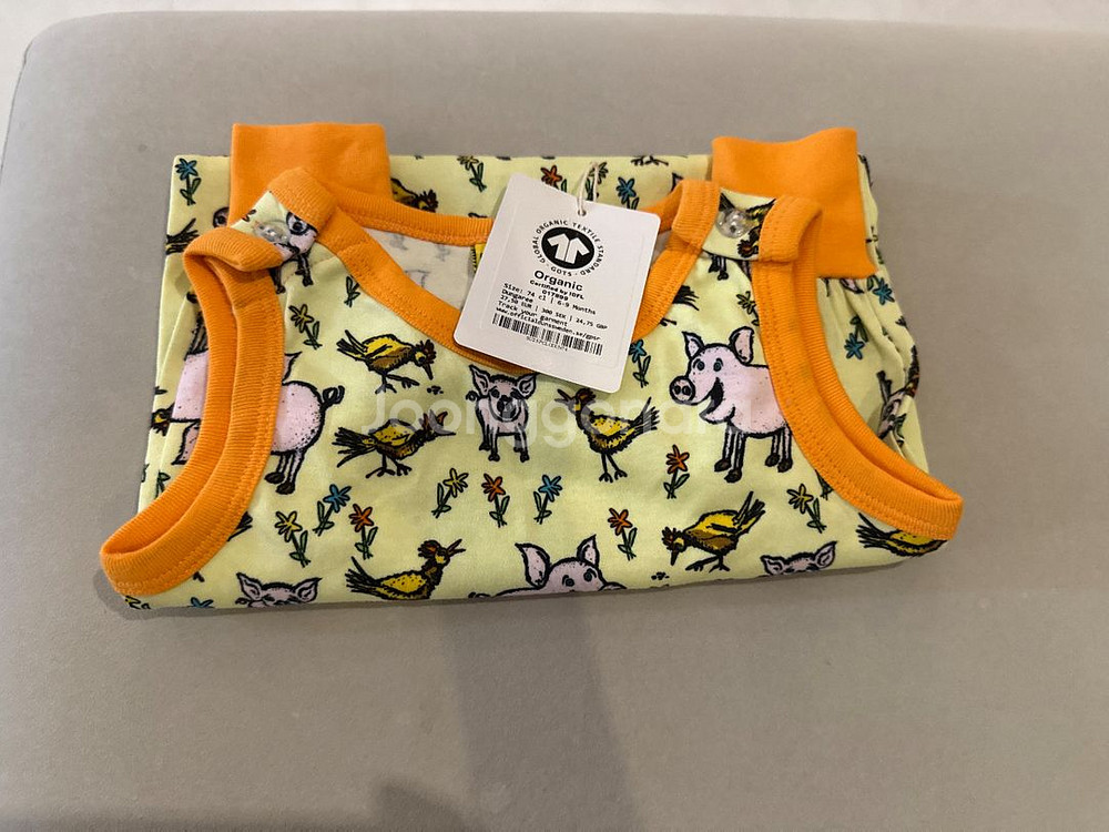 던스 주황돼지 덩가리 74--0