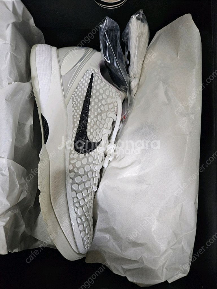 코비6 세일 260 새상품 판매--0