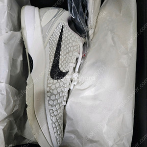 코비6 세일 260 새상품 판매