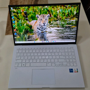 LG그램 노트북 i5 13세대 15ZD90RU, 15인치, 16G, 512G