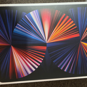 아이패드 프로 m5 셀룰러 삽니다