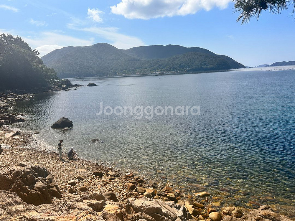 신세계라운지 삽니다--0