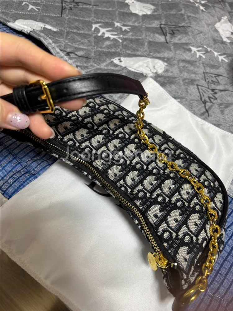 디올 오블리크 미니백--1