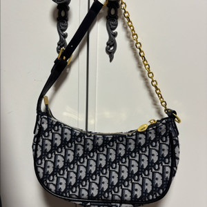 디올 오블리크 미니백