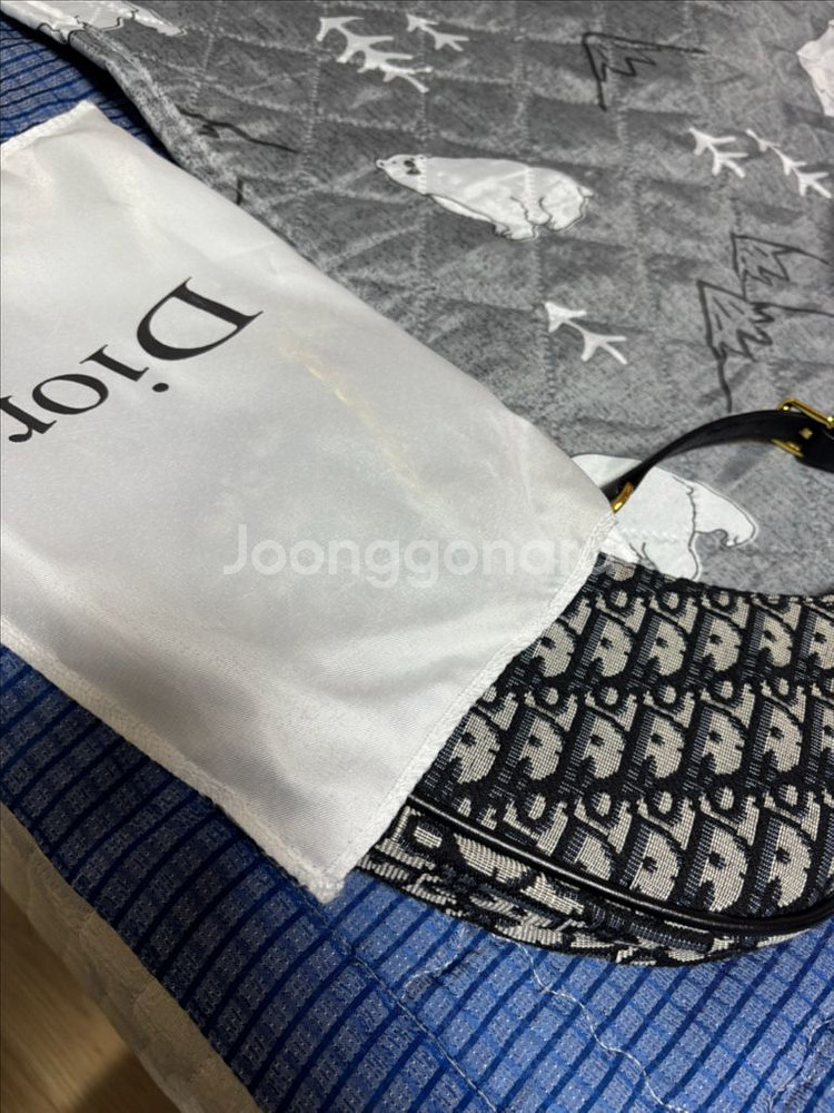 디올 오블리크 미니백--3