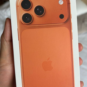 아이폰 17 프로 맥스 512기가 오렌지 미국판