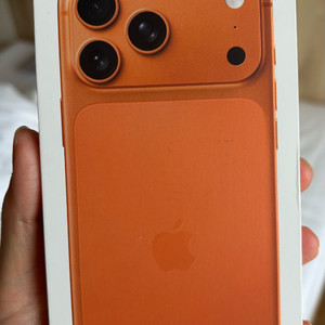 아이폰 17 프로맥스 512기가 오렌지 한국판