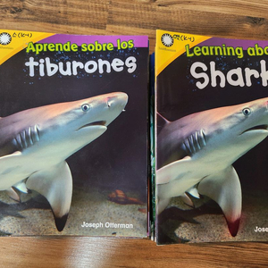 스팀리더스(영어 스페인어)쌍둥이책팝니다