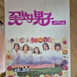 대만 꽃보다남자(유성화원) 드라마 DVD 세트