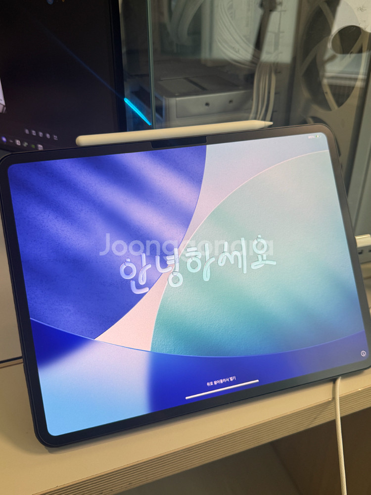 아이패드 프로 M4 13 256GB 와이파이 + 애플펜슬--0